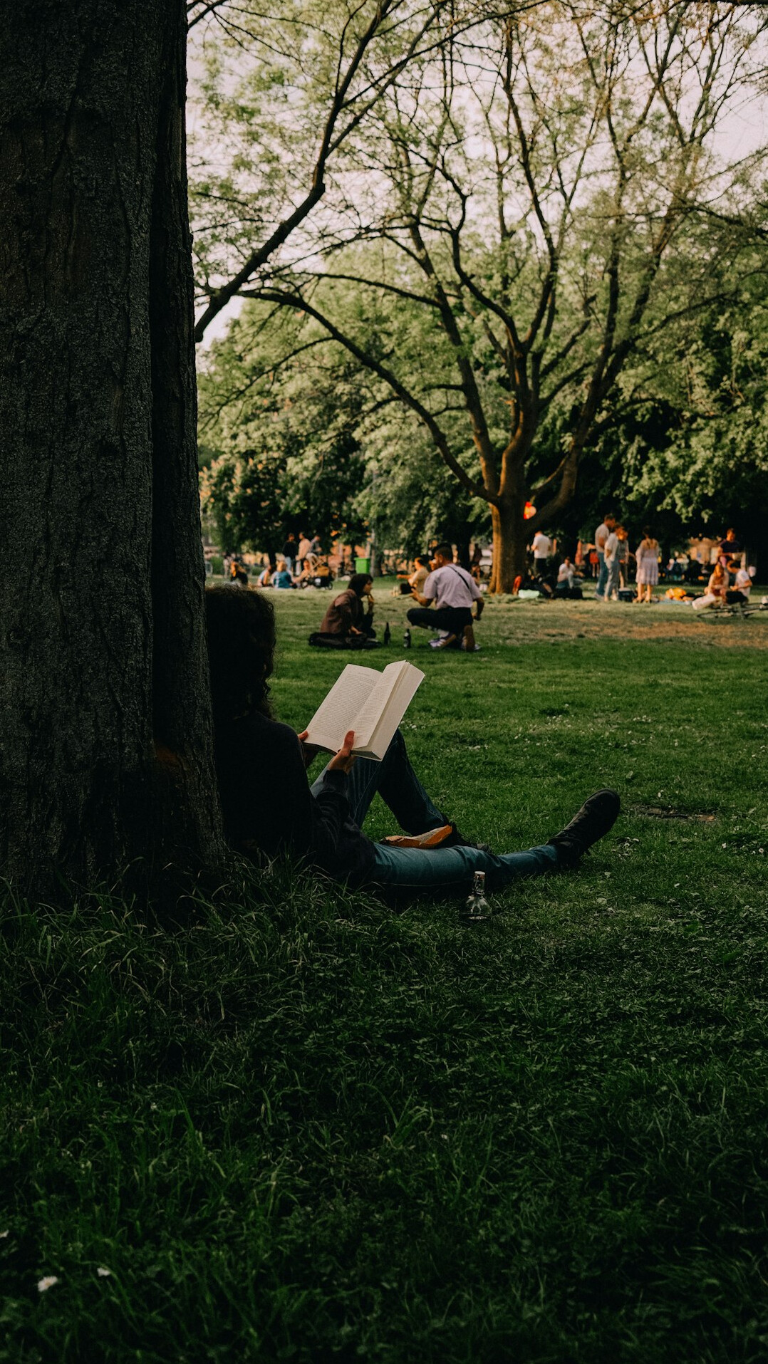reading book for growth